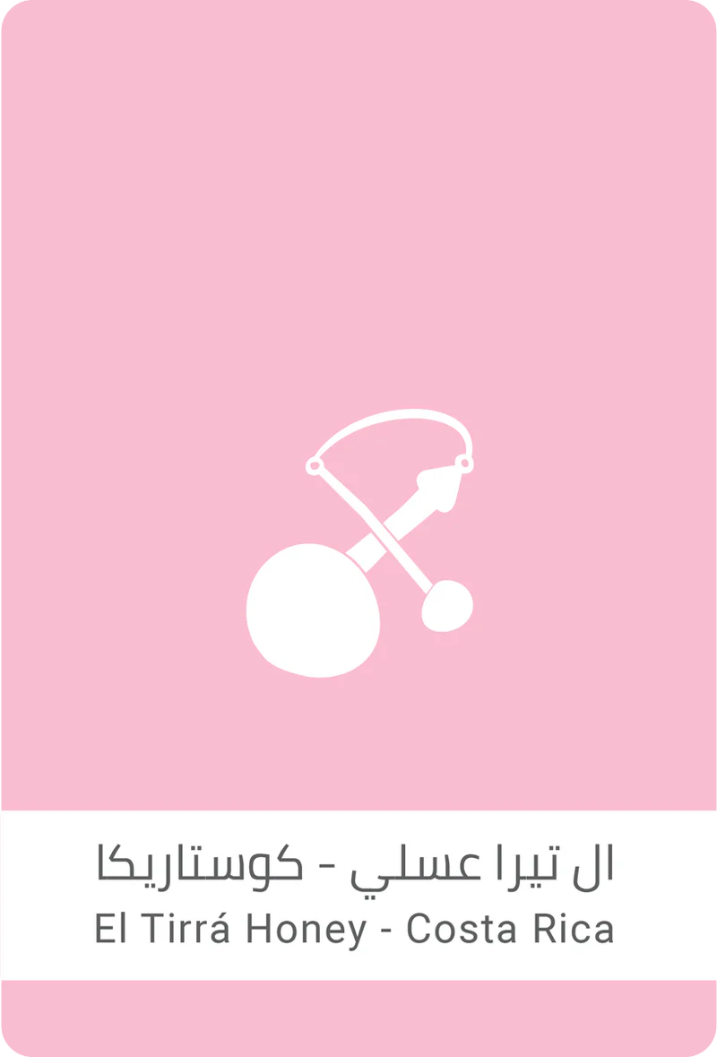 Costa Rica El Tiera Honey 250g - Omni