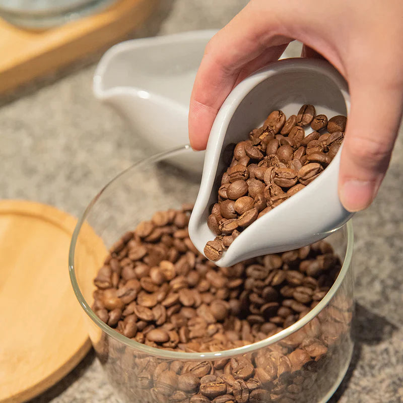 Beans Dosing Trays Set of 2 - White