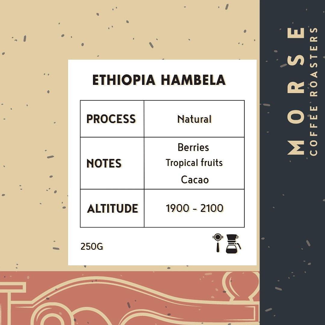 Ethiopia Hambela - 250g - Omni