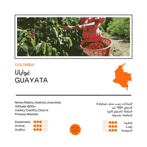 Colombia Guayata 250g - Filter