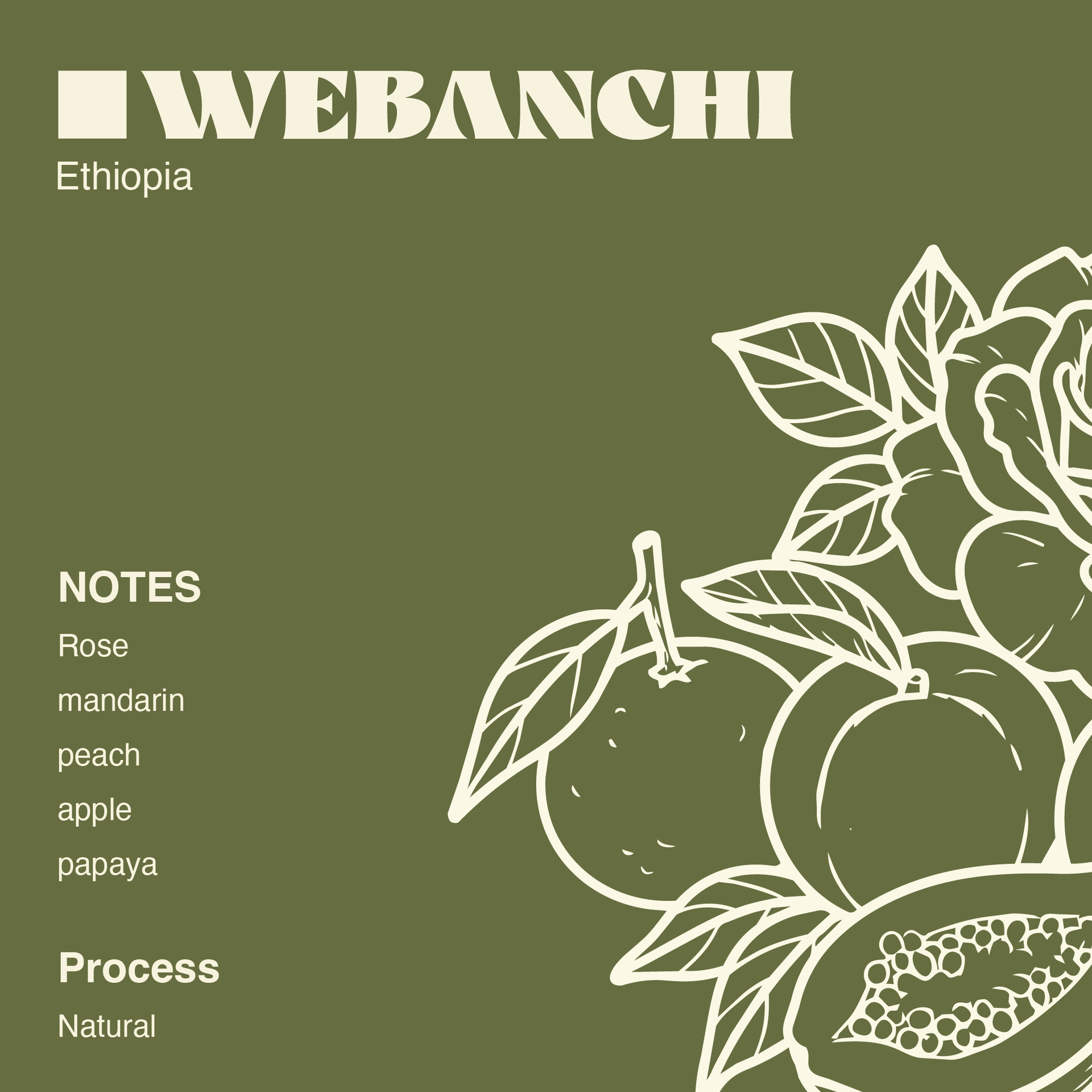 Ethiopia Webanchi 250g