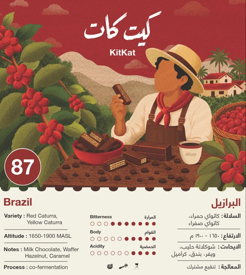 Brazil Kitkat 250g - Omni