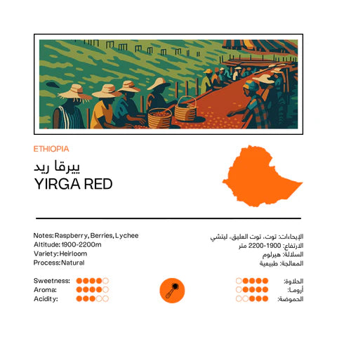 Ethiopia Yirga Red 250g - Espresso