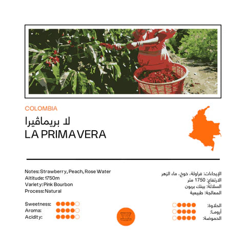 Colombia La Primavera 250g - Filter