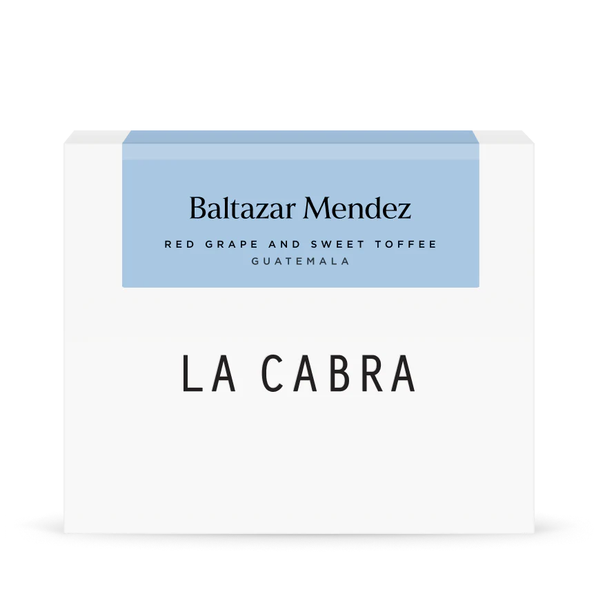 Guatemala Baltazar Mendez - 250g - Omni