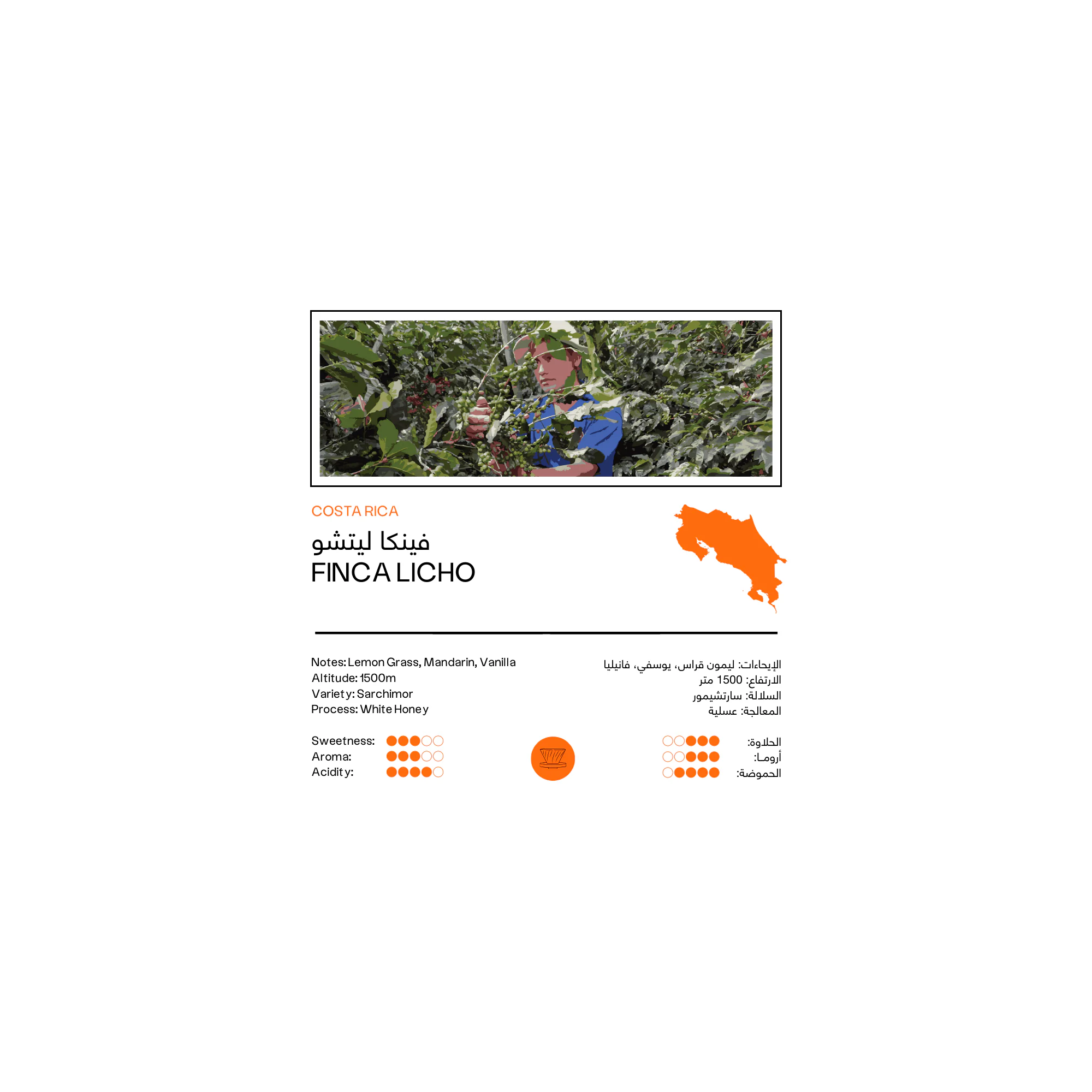 Costa Rica Finca Licho 250g - Filter