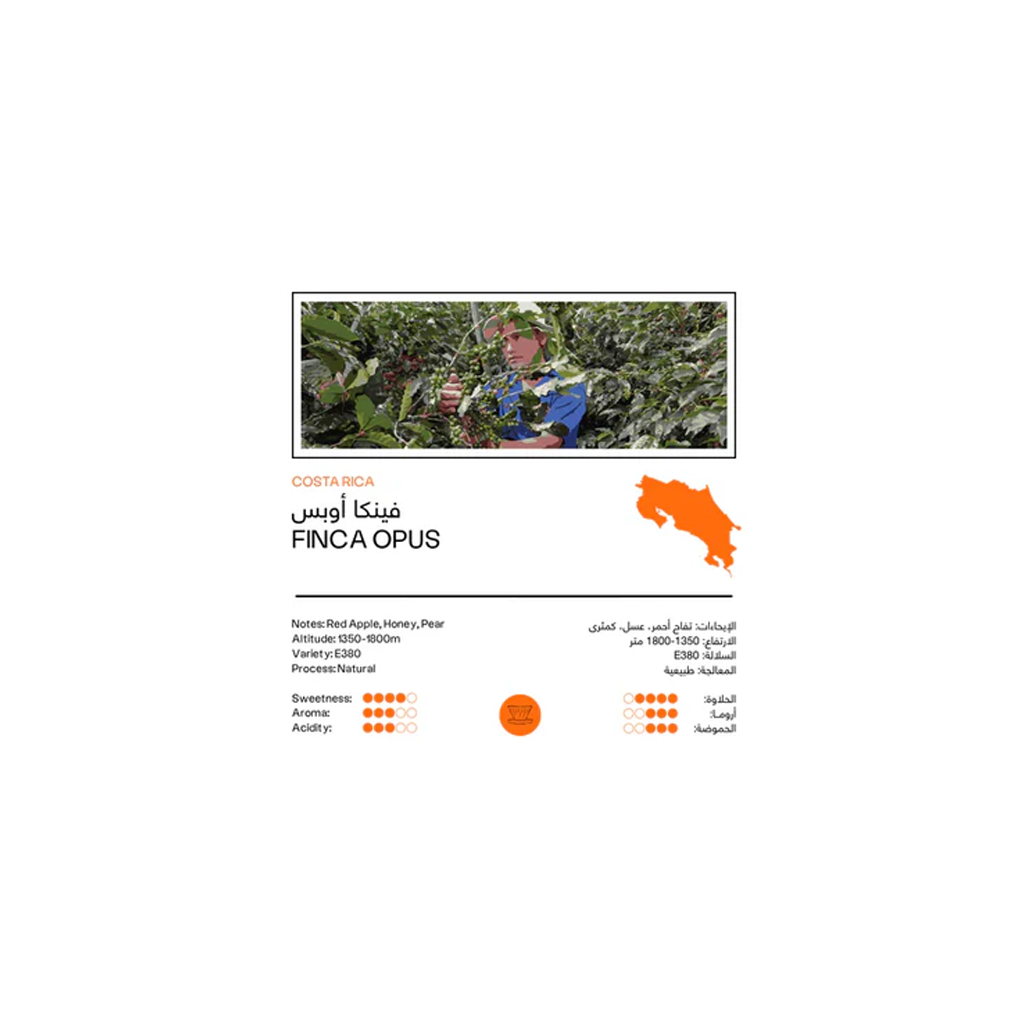 Costa Rica Finca Opus 250g - Filter