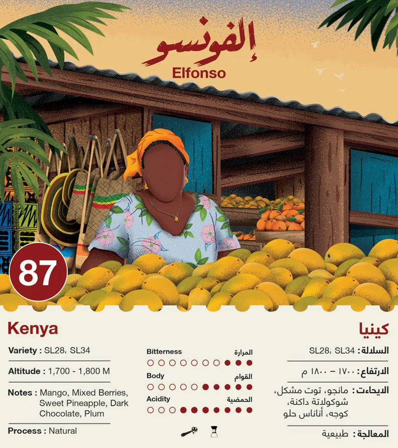 Kenya Elfonso 250g - Omni