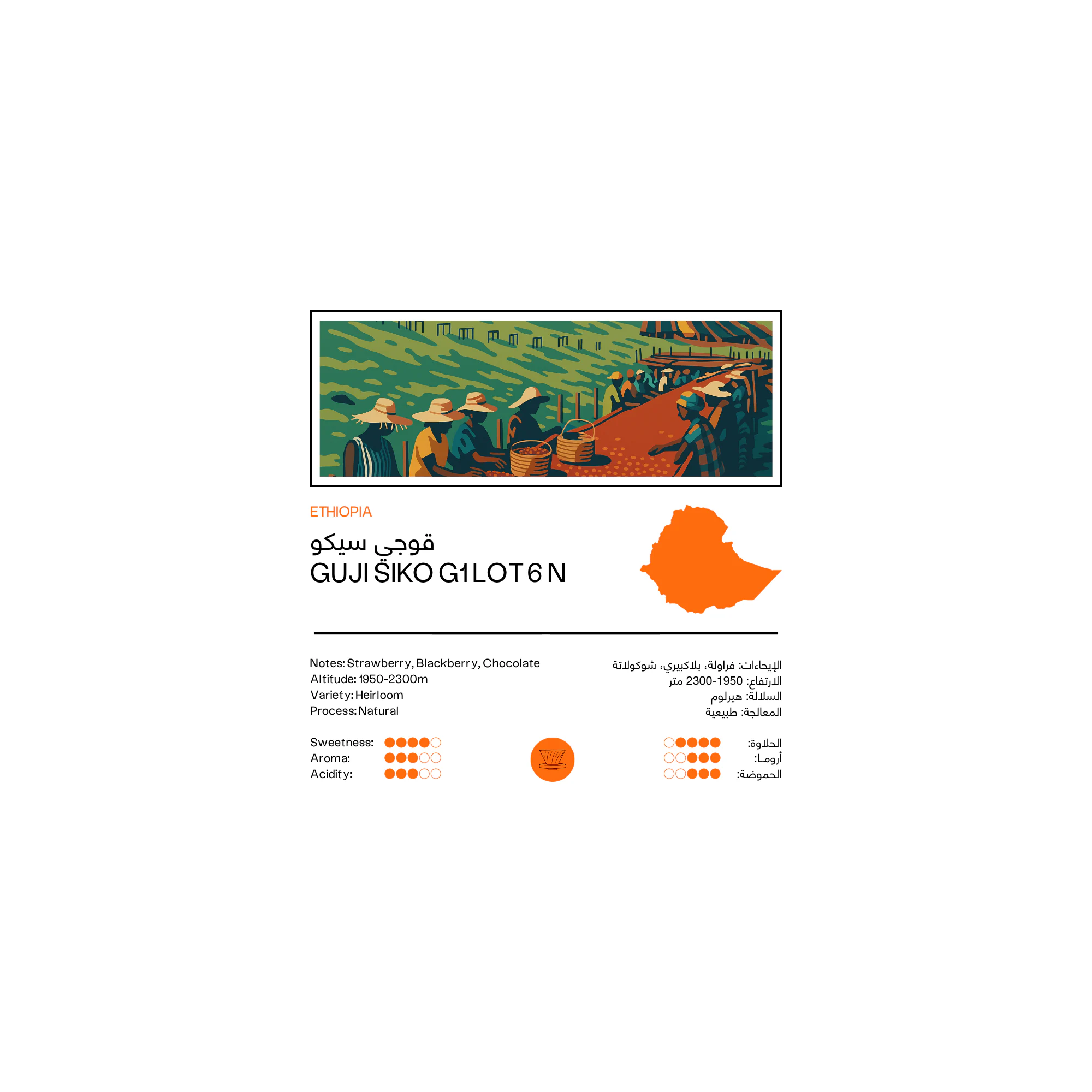 Ethiopia Guji Siko 250g - Filter