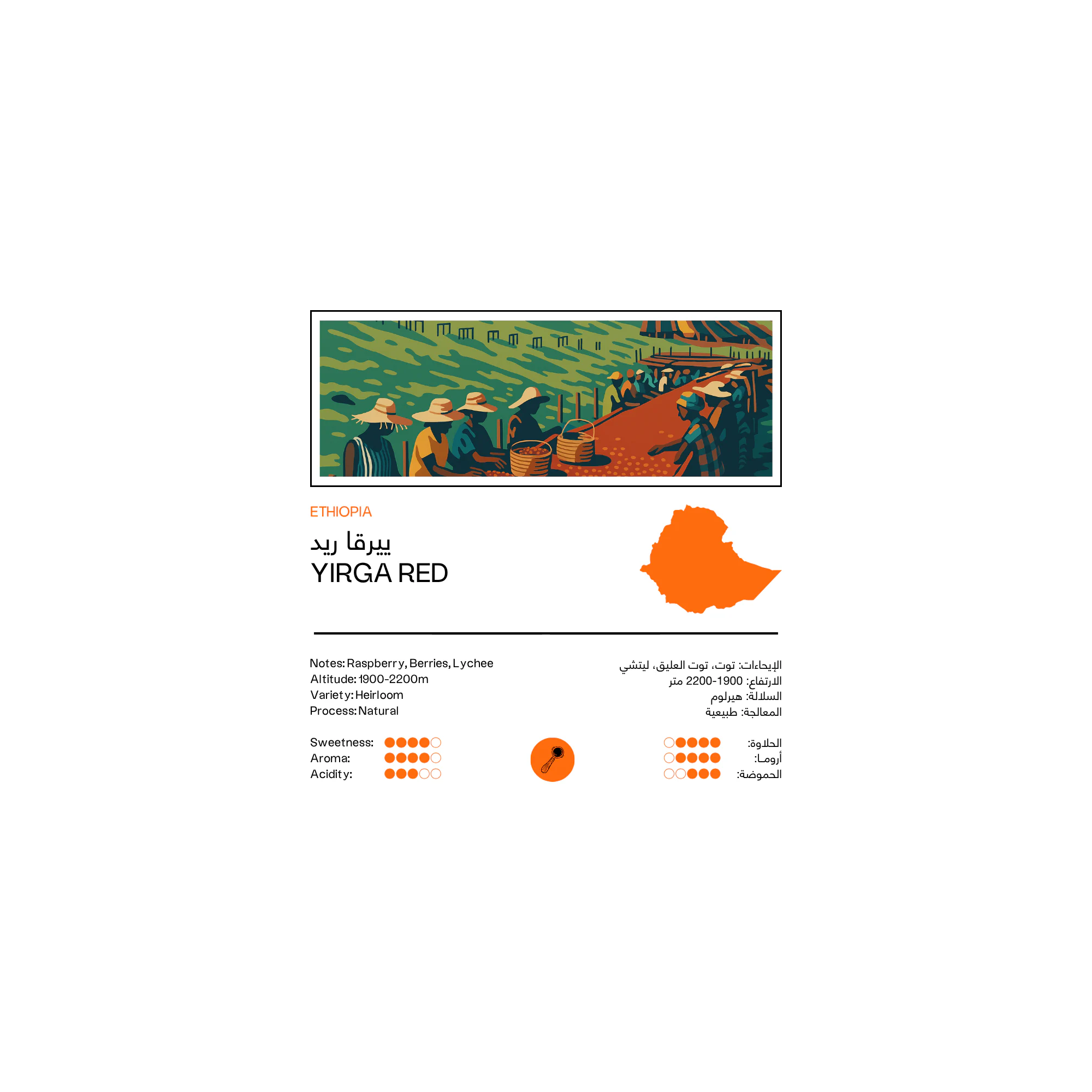 Ethiopia Yirga Red 250g - Espresso