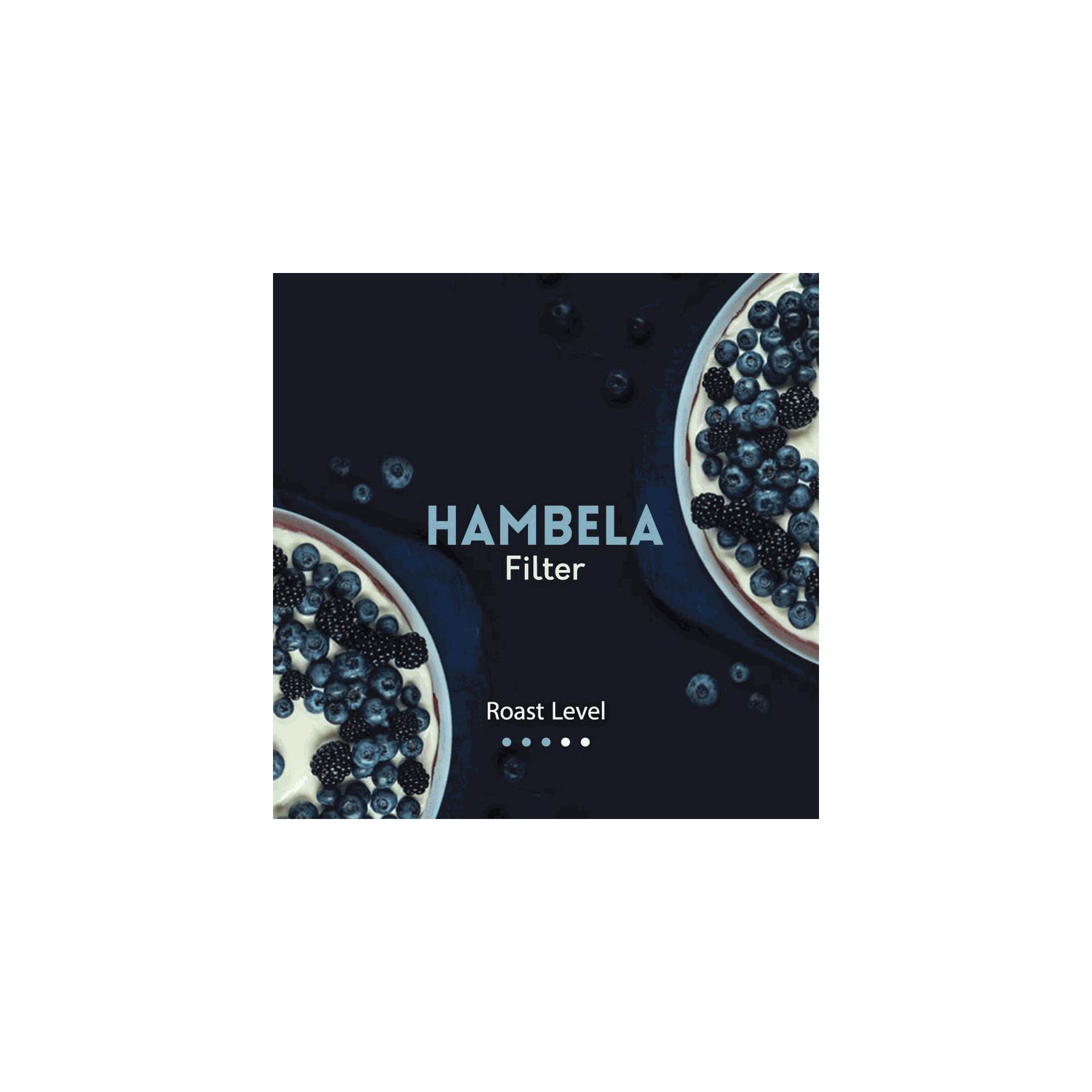 Ethiopia Hambela 250g - Filter