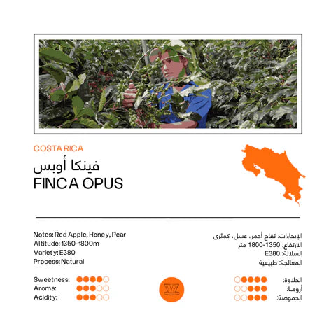 Costa Rica Finca Opus 250g - Filter
