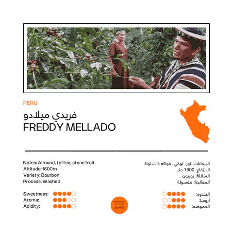 Peru Freddy Mellado 250g - Filter