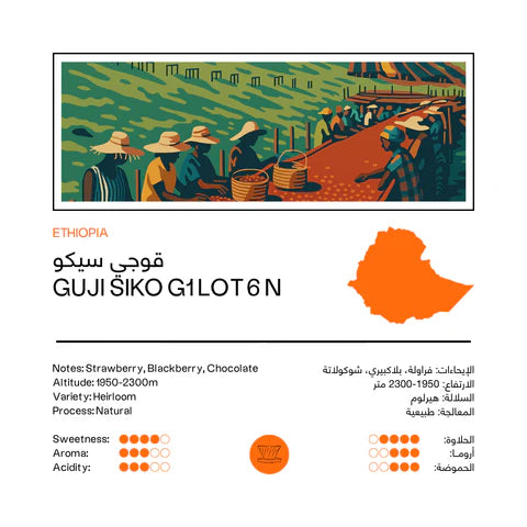 Ethiopia Guji Siko 250g - Filter