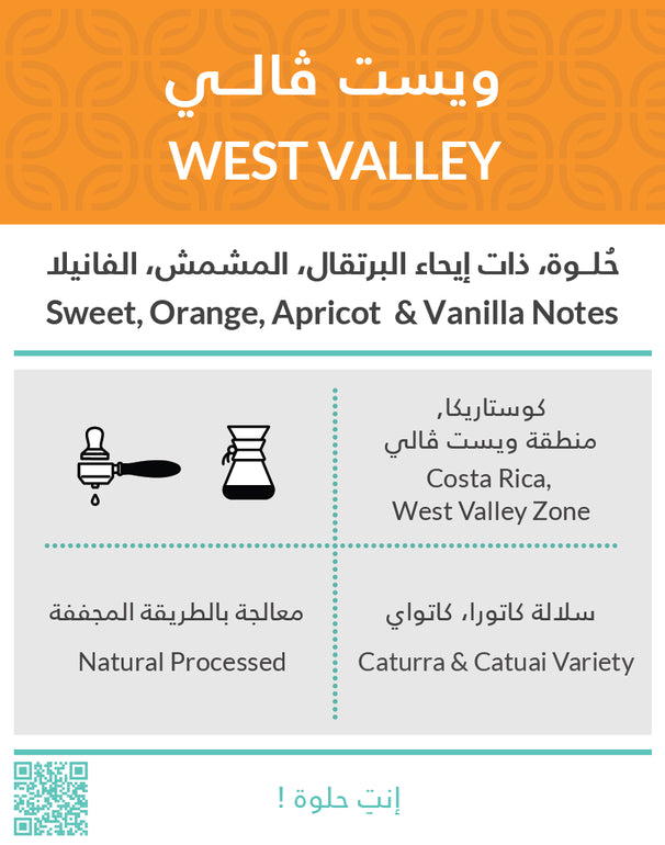 Costa Rica West Valley 250g - Omni