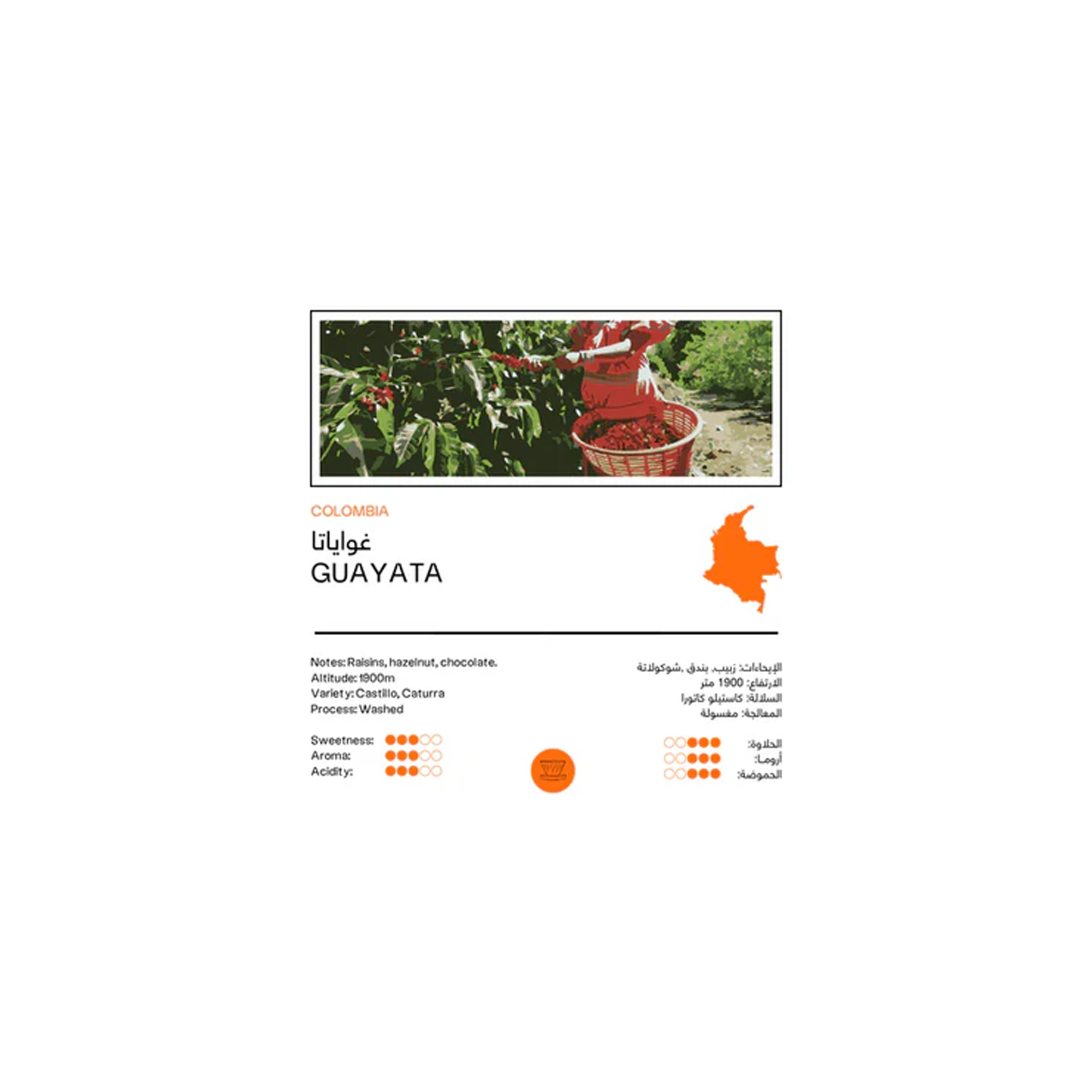 Colombia Guayata 250g - Filter