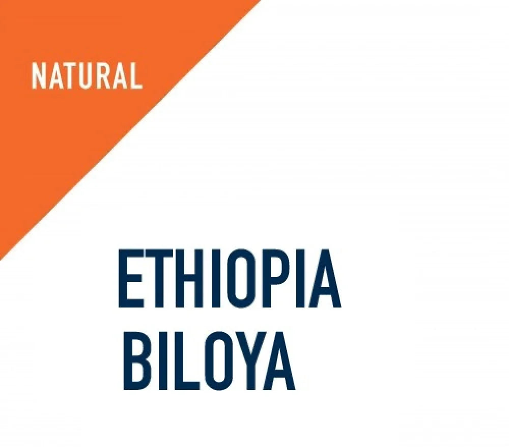 Ethiopia Biloya 250g - Omni