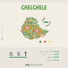 Ethiopia Chelchele 250g - Omni
